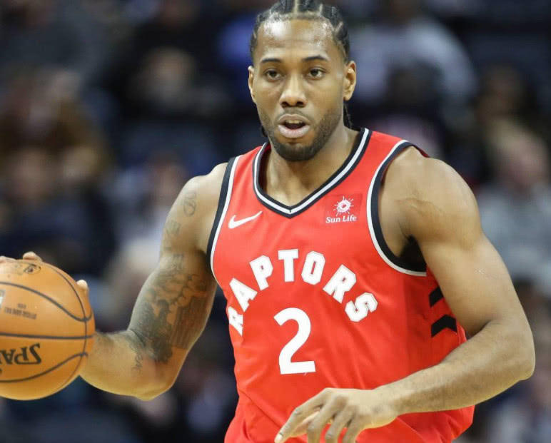 引发众怒，电讯报：摩洛哥为承办国际赛事大规模捕杀流浪狗（电讯报：摩洛哥为办国际赛事大规模捕杀流浪狗，激起公愤）